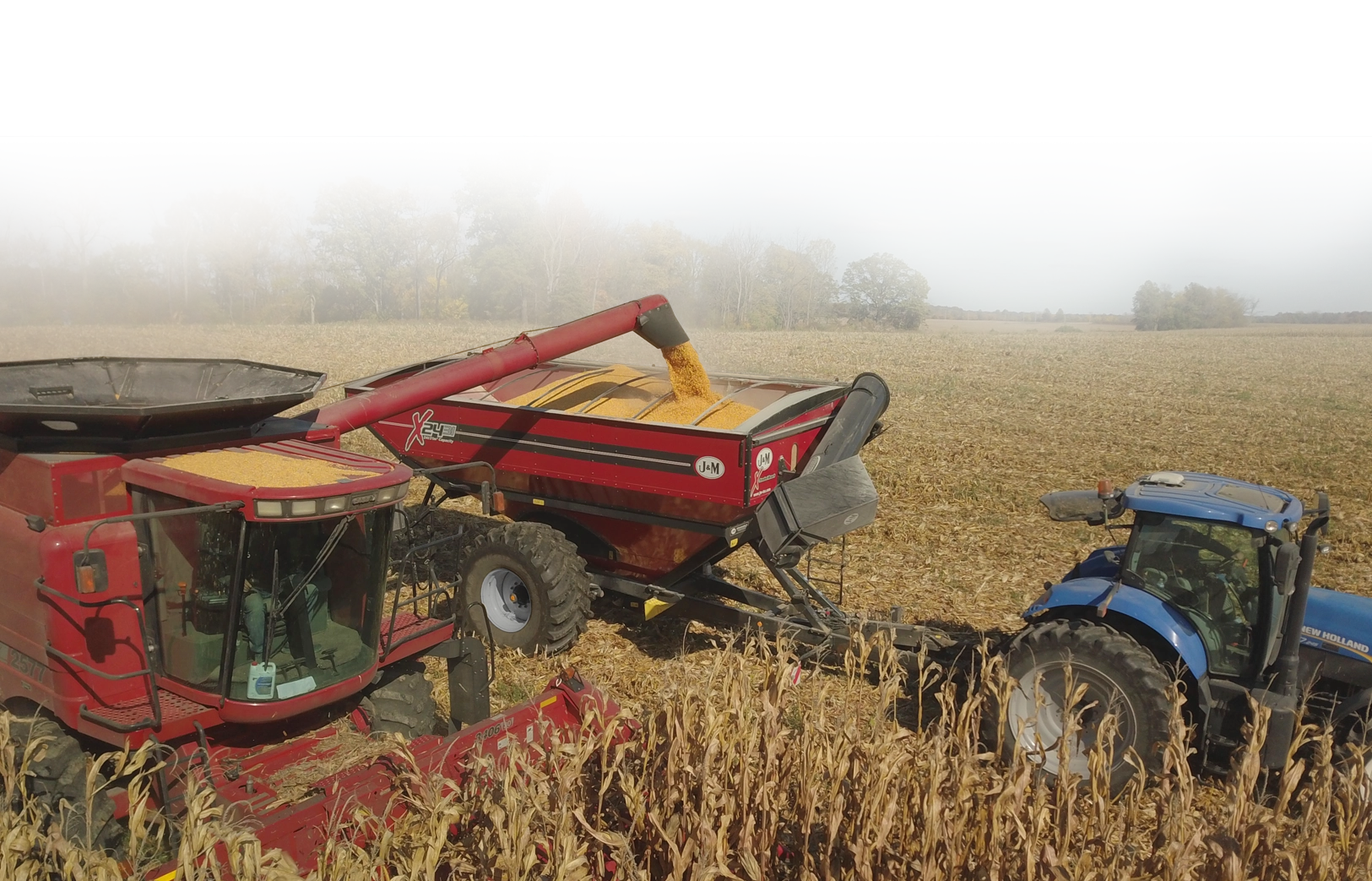 International Grain Cart with Claas Combine