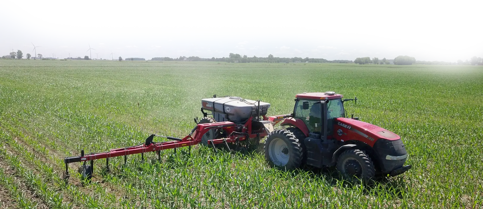 Red International Applicator