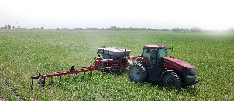 Red International Applicator
