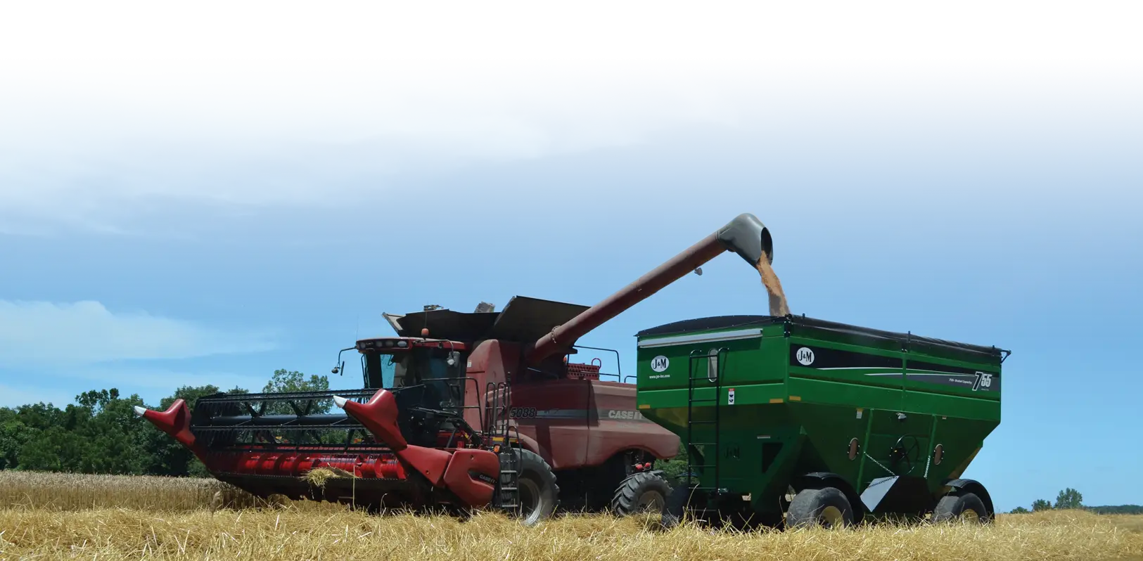 gravity wagon being filled by combine