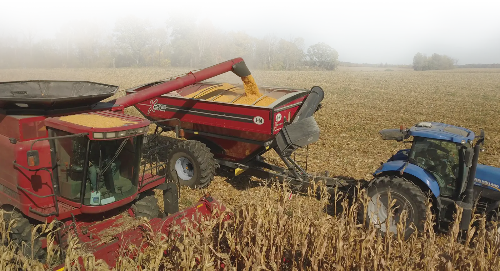 1112 Black grain cart in the corn field