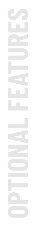 optional features written vertically